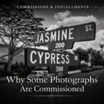 From Field to Frame: How a Photograph Becomes a Finished Work