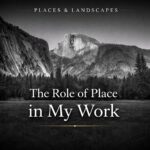 From Field to Frame: How a Photograph Becomes a Finished Work