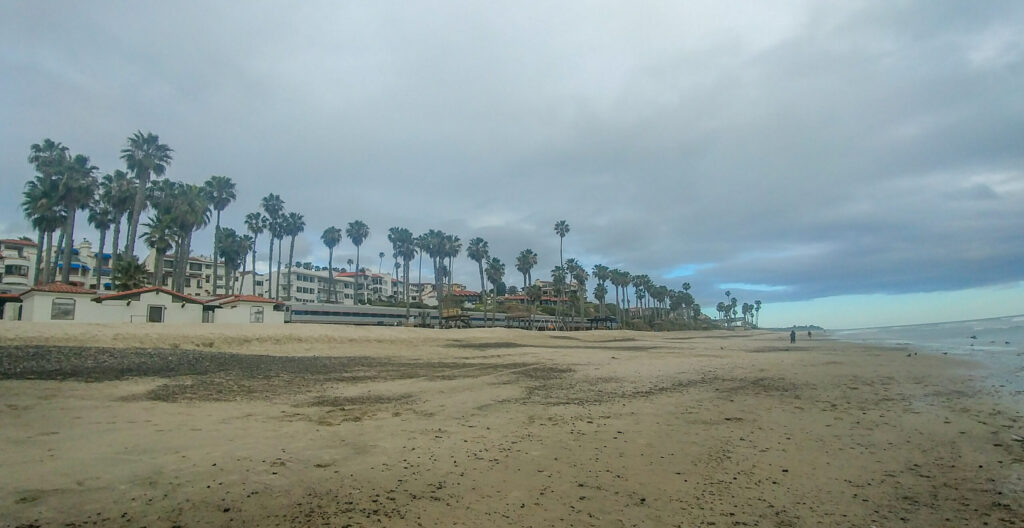 A wide beach view in San Clemente with palm trees, hillside homes, and an overcast sky stretching along the quiet shoreline.