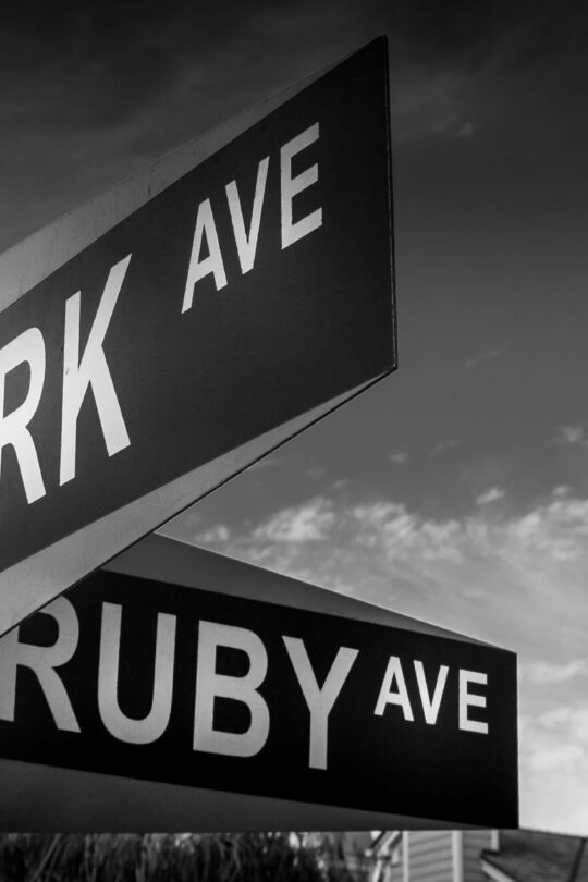 Black and white street signs reading Park Ave and Ruby Ave mounted on a metal pole, angled against a cloudy sky with rooftops faintly visible.