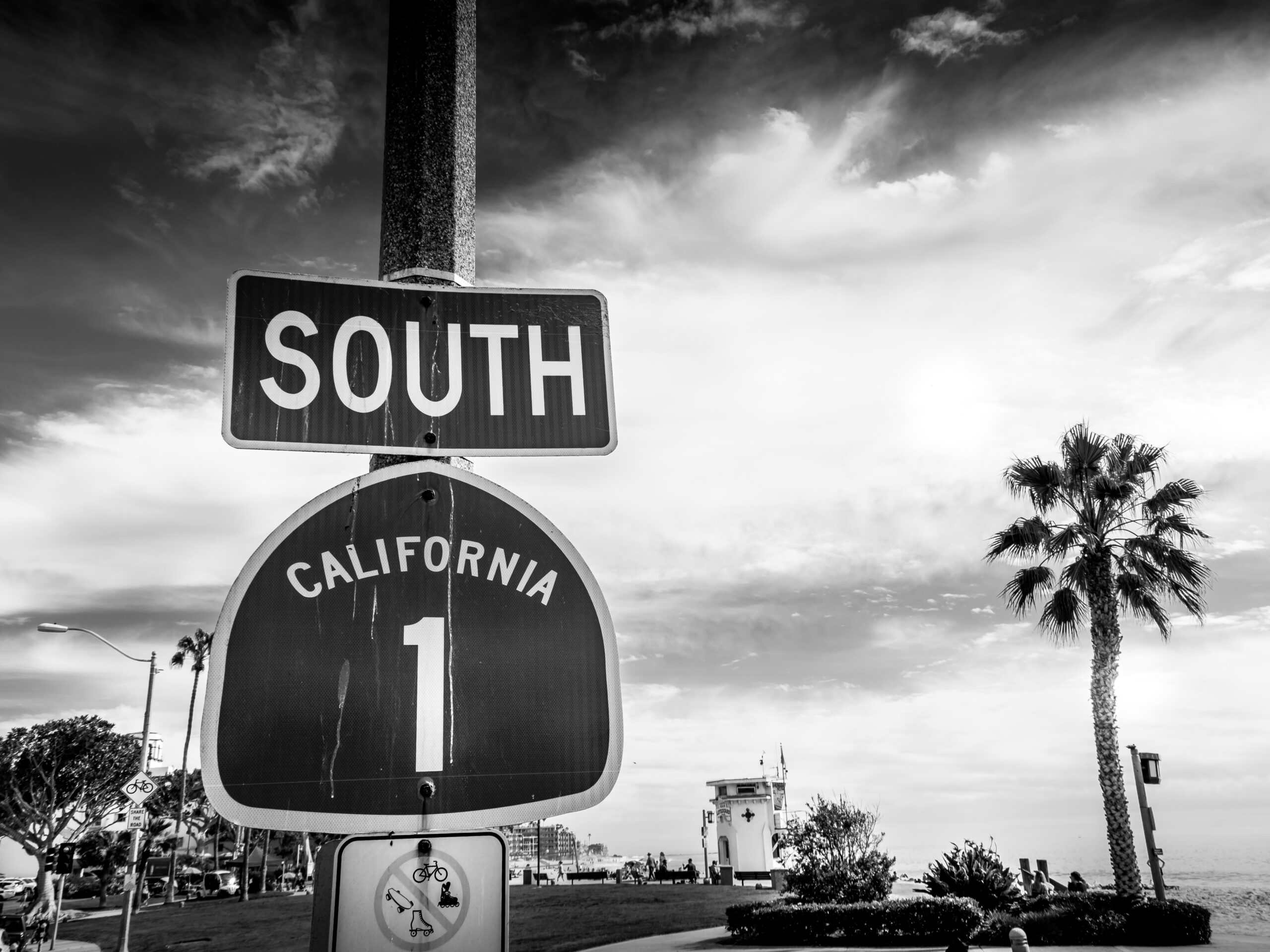 Black and white photograph of a California Route 1 southbound road sign near the coast, with palm tree, sky, and shoreline elements in the background.